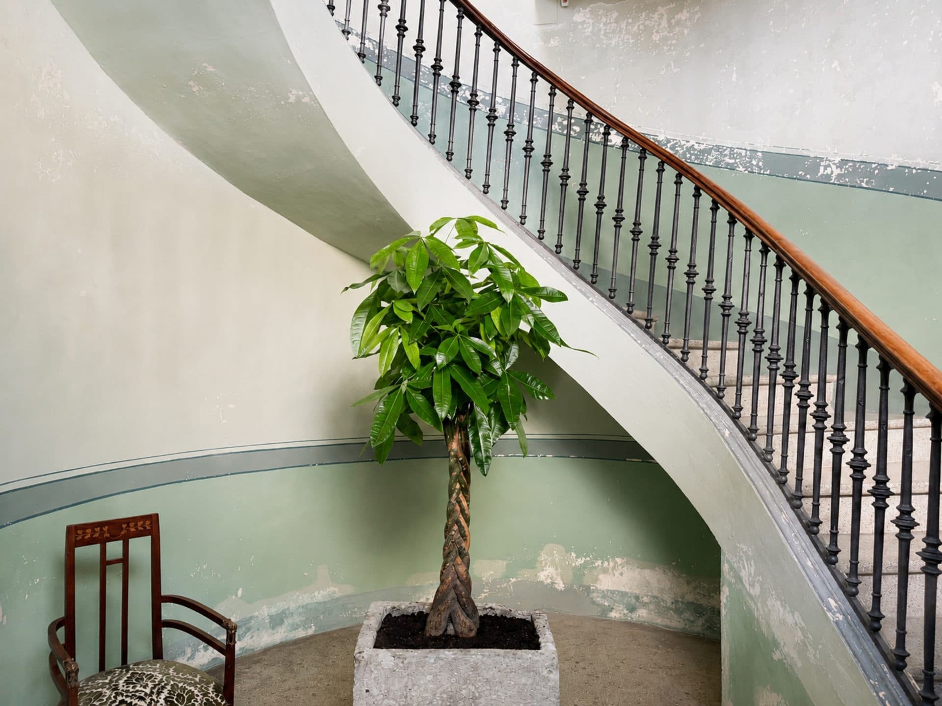 Dettaglio degli spazi interni di Palazzo Vite